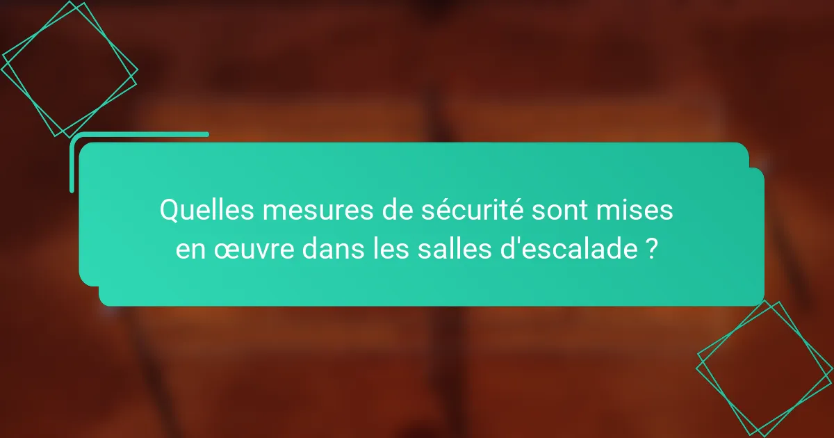 Quelles mesures de sécurité sont mises en œuvre dans les salles d'escalade ?